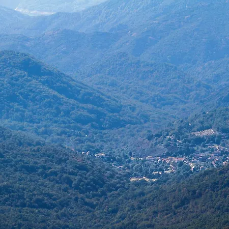 A Casa D'amore Πανσιόν Bastelica