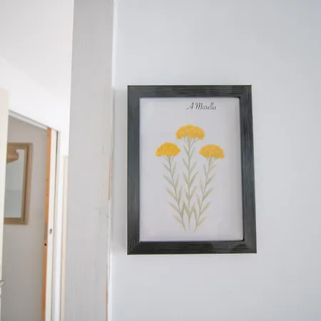 Guest house A Casa D'amore Bastelica